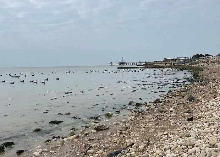 דירה L'ecrin De Lumiere - Kiwi